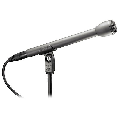 AT8004L Handheld Omnidirectional Dynamic Microphone (Long Handle) Image 0