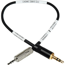 2.5mm Line to Mic Cable - Panasonic GH2 & GH1 DSLR to Zoom H4N Image 0