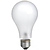 Incandescent Photoflood Lamp (250W / 115-120V)