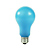 EBW 500W Photoflood Light Bulb