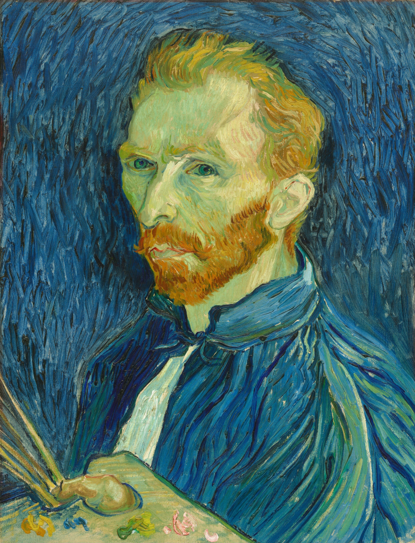WHAT DID VAN GOGH ACTUALLY SEE?