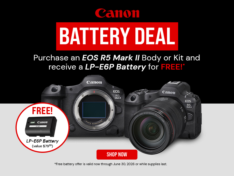 Canon Battery Deal