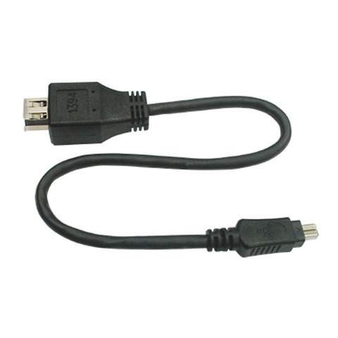 Datavideo FireWire 4-pin to 6-pin DV Cable - 12 in. Image 0