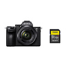 Alpha a7 III Mirrorless Digital Camera with 28-70mm Lens with Sony 64GB SF-G Tough UHS-II Memory Card Thumbnail 0