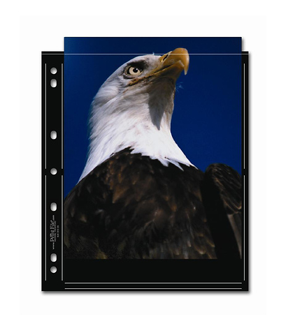 S-Series 8 x 10in. Black Album Pages - 25 pages Image 0