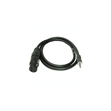 3 ft. 3-Pin XLR Female to 1/8 in. Stereo Mini Male Image 0