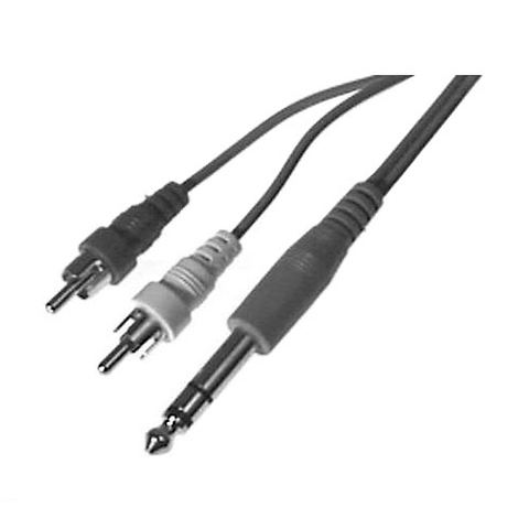Stereo Y Cable 1/4 Stereo Plug to Dual RCA Male Plugs (5 ft. Long) Image 0