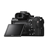 Alpha a7II Mirrorless Digital Camera with FE 28-70mm f/3.5-5.6 OSS Lens Thumbnail 7