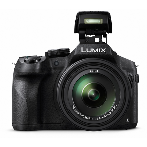 Lumix DMC-FZ300 Digital Camera (Black) Image 2