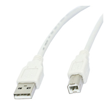 Type A Male To Type B Male USB 2.0 Cable (10 Ft. Long) Image 0