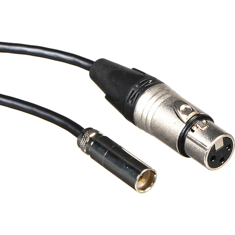 Set of 2 Mini XLR to XLR Audio Cables for Video Assist 4K (19.5 in.) Image 0