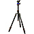 Punks Series Billy Carbon-Fiber Tripod with AirHed Neo Ball Head