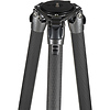 GT5563GS Systematic Series 5 Carbon Fiber Tripod (Giant) Thumbnail 3