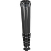 GT5563GS Systematic Series 5 Carbon Fiber Tripod (Giant) Thumbnail 2