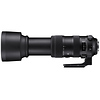 60-600mm f/4.5-6.3 DG OS HSM Sports Lens for Nikon F Thumbnail 2