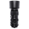 60-600mm f/4.5-6.3 DG OS HSM Sports Lens for Nikon F Thumbnail 1