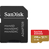 256GB Extreme UHS-I microSDXC Memory Card with SD Adapter Thumbnail 0