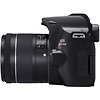 EOS Rebel SL3 Digital SLR with EF-S 18-55mm f/4-5.6 IS STM Lens (Black) Thumbnail 4