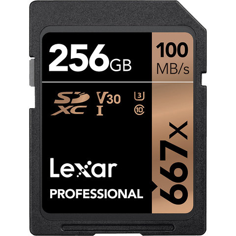 256GB Professional 667x UHS-I SDXC Memory Card Image 0