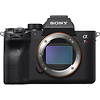 Alpha a7R IV Mirrorless Digital Camera w/Sony FE 24-70mm f/2.8 GM Lens and Sony Accessories Thumbnail 9