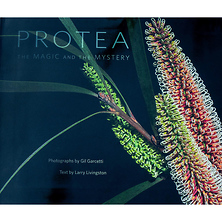 PROTEA: The Magic and the Mystery - Hardcover Book Image 0