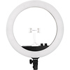 Halo 14 Dimmable Adjustable Bicolor 14 in. LED Ring Light Thumbnail 7