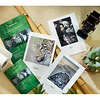 13 x 19 in. Natural Line Sample Pack Thumbnail 0