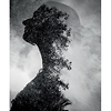 13 x 19 in. Natural Line Sample Pack Thumbnail 1