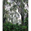 13 x 19 in. Natural Line Sample Pack Thumbnail 2