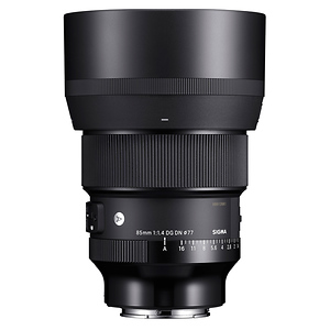 85mm f/1.4 DG DN Art Lens for Sony E