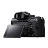 Alpha a7R IIIA Mirrorless Digital Camera Body with Sony 64GB SF-G Tough UHS-II Memory Card Thumbnail 5
