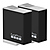 Enduro Rechargeable Li-Ion Batteries (2 Pack)