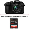 Lumix G95 Hybrid Mirrorless Camera with 12-60mm Lens Thumbnail 0