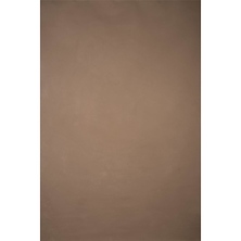 8.9 x 9.8 ft. Hand Painted Classic Collection Canvas Low Texture Backdrop (Beige) Image 0