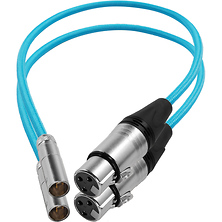 Mini-XLR Male to XLR Female Audio Cable for Canon C70 & BMPCC 6K/4K (2-Pack, Blue) Image 0