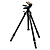 Professional 4 Tripod Legs with PRO 2047 Panhead Head  - Pre-Owned