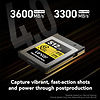 512GB Professional GOLD Series CFexpress 4.0 Type B Memory Card Thumbnail 2
