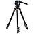 Mammoth Series 3 4-Section Flip-Lock Carbon Fiber Tripod Kit with BV6H PLUS Head