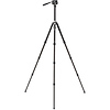 KingPod 4-Section Tripod with FS36PRO Head (Carbon Fiber) Thumbnail 3
