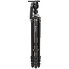 KingPod 4-Section Tripod with FS36PRO Head (Carbon Fiber) Thumbnail 1