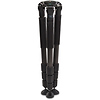 CT304 Grand Series EP Carbon Fiber Tripod Legs - Pre-Owned Thumbnail 1