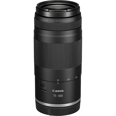 EOS R100 Mirrorless Digital Camera with 18-45mm Lens and 75-300mm Lens Image 9