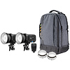 FJ250 & FJ400 II Strobes with FJ-X3 M Universal Trigger (2-Light Portrait Kit) Thumbnail 0