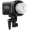 FJ250 & FJ400 II Strobes with FJ-X3 M Universal Trigger (2-Light Portrait Kit) Thumbnail 5