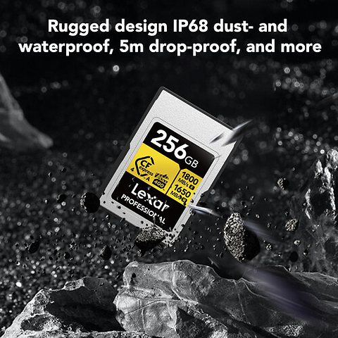 256GB Professional GOLD CFexpress 4.0 Type A Memory Card Image 4