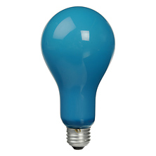 BCA Lamp, 250 Watts/115-120 Volts - Blue Image 0
