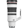 RF 100-300mm f/2.8 L IS USM Lens Thumbnail 2